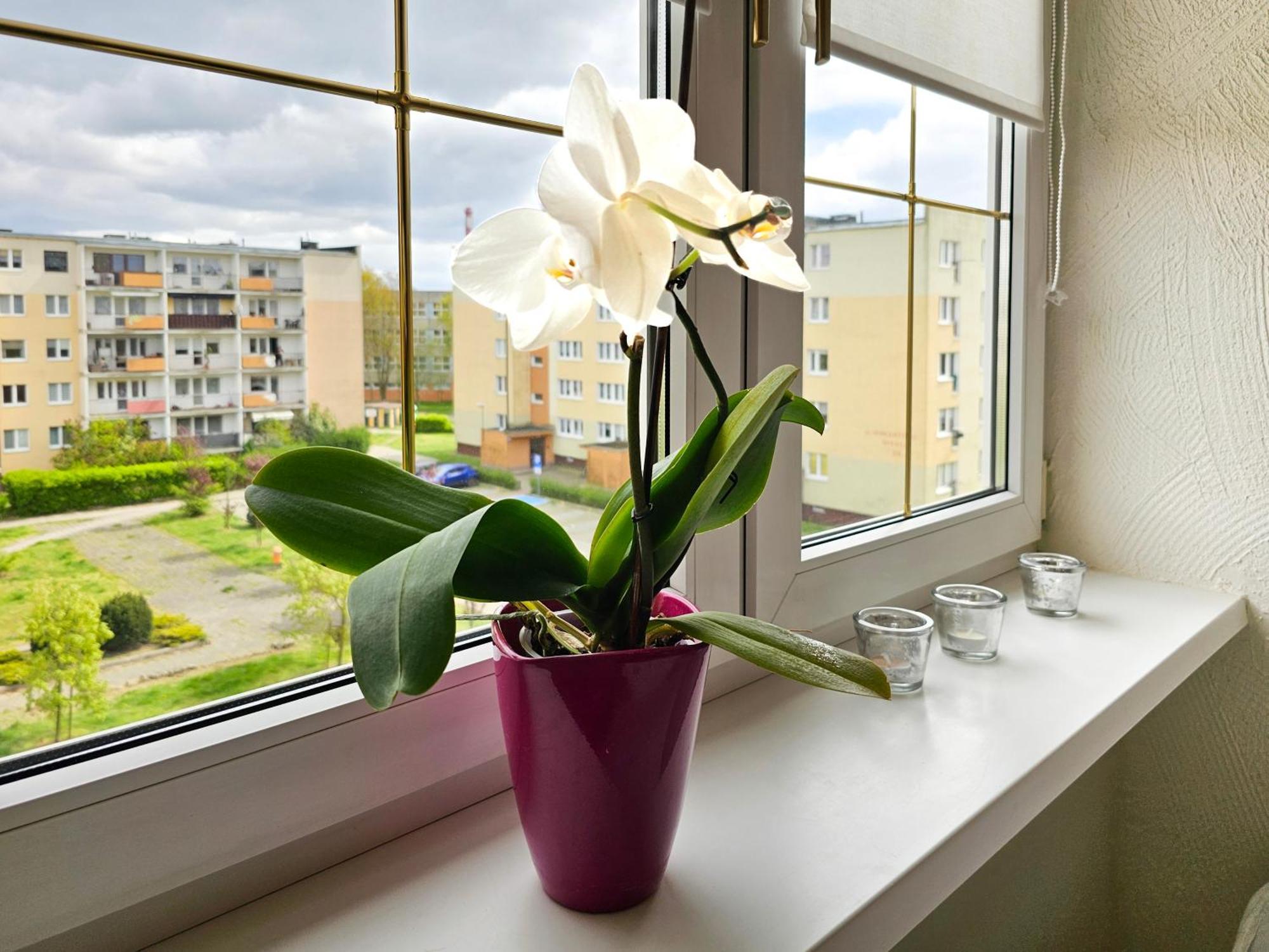 Visit Baltic - Apartament Sunny Świnoujście  Eksteriør billede